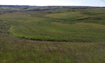 Imagem: Fazenda a Venda em Agua Doce no Horizonte