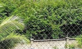 Imagem 2: Alphaville litoral norte 2