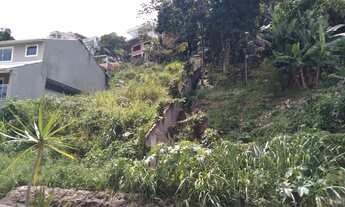 Imagem 5: Terreno com suave aclive em rua com belas casas próximo a todo comércio da região, mediand