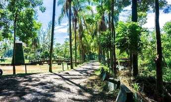 Imagem 6: Terreno à venda, 396 m² por R$ 538.000 - Swiss Park - Campinas/SP