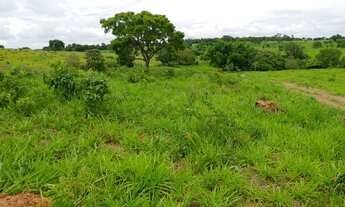 Imagem 7: Chacara em Mairipotaba com represa a 80 km de Goiânia chacaras 2 hectares aceito carro