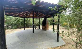 Imagem: Fazenda/Sítio/Chácara para venda tem 250