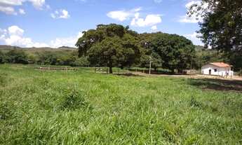 Imagem 7: 54 alqueires em Padre Bernado-Go