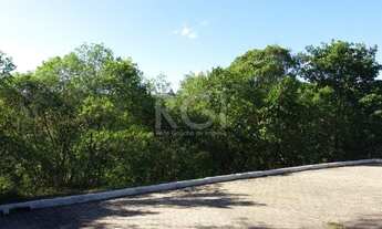 Imagem: PORTO ALEGRE - Terreno Padrão - Glória