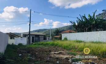 Imagem 6: Terreno com ótima localização e excelente topografia à venda em Terra Preta