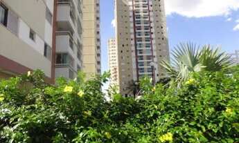 Imagem 5: Eldorado esmeralda