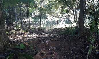 Imagem 4: Terreno - Joaquim Egídio - Campinas