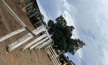 Imagem 2: 54 alqueires em Padre Bernado-Go