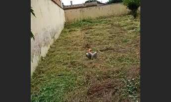 Imagem 3: à venda por R$ 175.000 Terreno, 300 m² - Residencial e Comercial Palmares - Ribeirão Preto