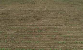 Imagem 3: O valor do imóvel hoje é 32.700.00,00, podendo variar dependendo o preço da saca de soja n