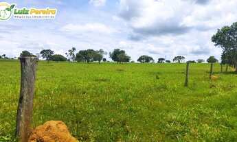 Imagem 4: FAZENDA À VENDA EM GOIANORTE - TO - 759,88 HECTARES (DUPLA APTIDÃO