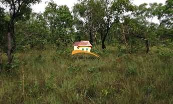 Imagem 4: Fazenda para Venda em Centenário