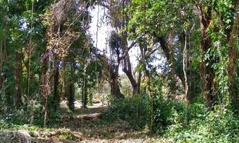 Imagem 7: Terreno - Chacara Recreio Danubio Azul - Holambra