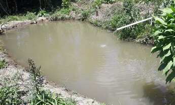 Imagem: Chácara para venda possui 2000m² em Campestre