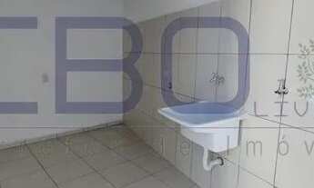 Imagem 6: Casa para Locação em São Paulo, Parque Edu Chaves, 2 dormitórios, 1 banheiro, 1 vaga