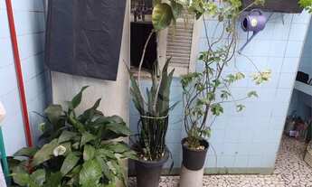 Imagem 2: Casa-São Paulo-VILA GUILHERME