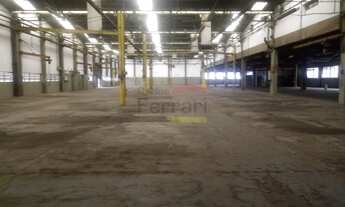 Imagem 4: Galpão Industrial 6.500m2 - Água Branca