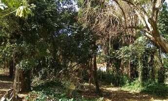 Imagem 5: Terreno - Chacara Recreio Danubio Azul - Holambra