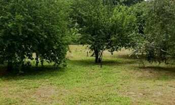 Imagem 3: Terrenos Ilha de Maré a partir R$ 8.000,00