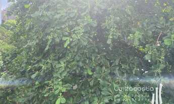 Imagem 3: Apartamento agradável com vista verde