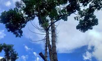 Imagem 5: Lindo terreno beira rio, com aconchegante chalé recém construído no Vale das Flores, Visco