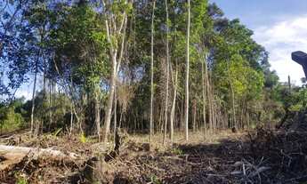 Imagem 2: Terreno Plano 4800m² para Sítio no Km26 da AM 070 (Manoel Urbano