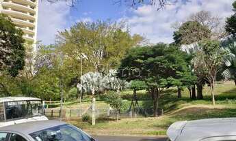 Imagem 5: Terreno - Cambuí - Campinas