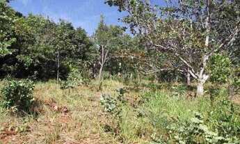 Imagem 6: Chácara de 1.700m² poço de peixe, toda cercada, São Jose do Almeida (Temos varias opções)