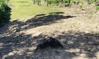 Imagem: Chácara por apenas R$300.000,00