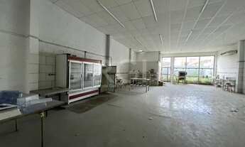 Imagem 5: Depósito/Pavilhão para Locação/Aluguel - 219m², Partenon