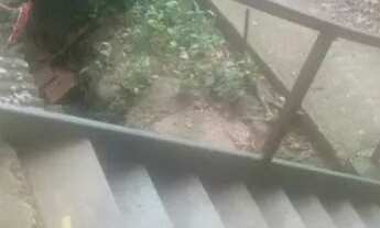 Imagem 2: Casa para alugar