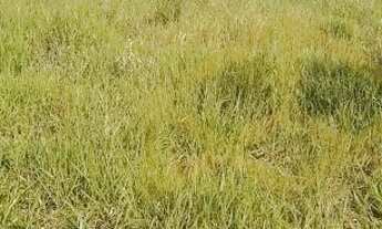 Imagem 5: Terreno - Loteamento Horizonte Azul - Itatiba