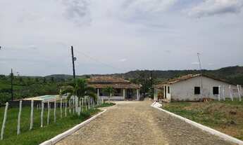 Imagem 5: Fazenda e Haras em Itaporanga/SE - Vende ou Troca