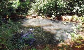 Imagem 2: Chácara de 1.700m² poço de peixe, toda cercada, São Jose do Almeida (Temos varias opções)