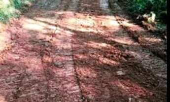 Imagem 5: Chácaras em morretes 35 .00