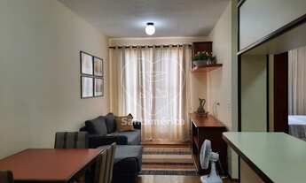 Imagem 5: LONDRINA - Padrão - Centro