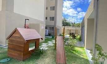 Imagem: Alugo tenda vila Iracema