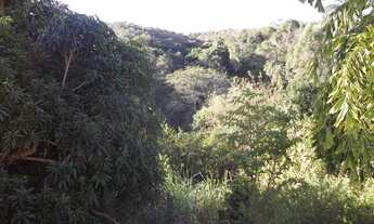 Imagem 2: Fazendinha 16ha, 2criatorios de peixes, casa, área de lazer, Baldim Temos varias opções)