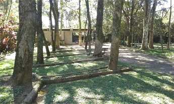 Imagem 4: CASA TÉRREA PARA INVESTIDOR 10.000 M² DE TERRENO AV. SEZEFREDO FAGUNDES