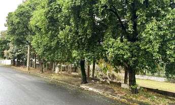 Imagem 2: Lote/Terreno para venda com 5000 metros quadrados em Vila São Jorge - São José do Rio Pret
