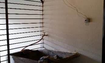 Imagem 7: SAO JOSE DO RIO PRETO - Casa Padrão - VILA MOREIRA