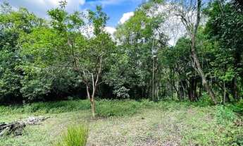 Imagem 6: Chácara em Sapiranga com 3 hectares