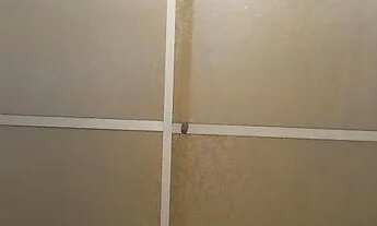 Imagem 6: Casa para alugar grande