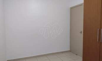 Imagem 7: Locação de Apartamentos / Padrão na cidade de Araraquara