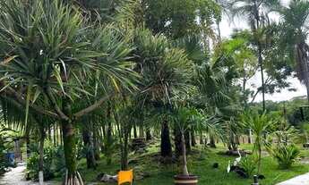 Imagem 7: Vendo Fazenda Bela Vista