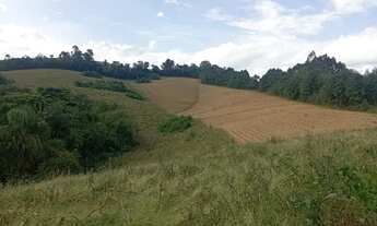 Imagem 7: Terreno Rural 7,5 alqueires