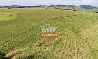 Imagem 4: Fazenda em Avelinopólis-GO (32 alqueires