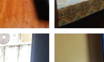 Imagem 3: Temporada em Rio das Ostras, Região dos Lagos, proximo a praia do Centro