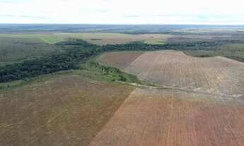 Imagem 7: Fazenda a venda, com dívida Bancária, no Tocantins!!