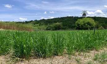 Imagem 2: Fazenda 47ha, 2 casas sede/caseiro plantação de mogno, mangaPalmer,nascente e córrego